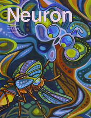Neuron 
